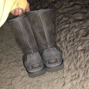 Grey uggs